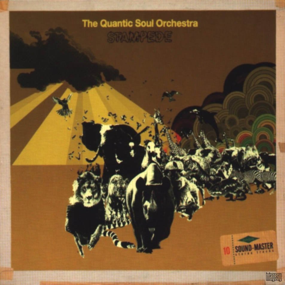 Quantic Soul Orchestra Stampede 2003